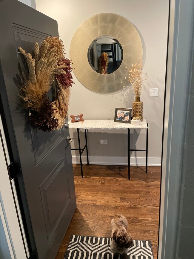 Unit Entrance - 4317 S Forrestville Ave