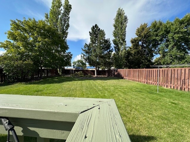 Backyard - 2903 Harmony Ct