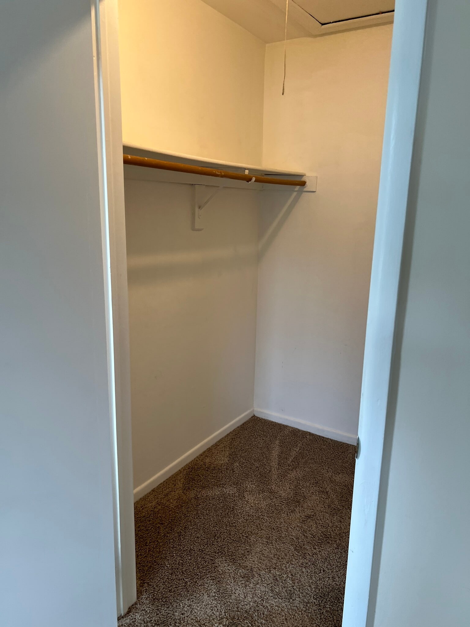 Walk in clsoet Master Bed Room - 8308 Tamarron Dr