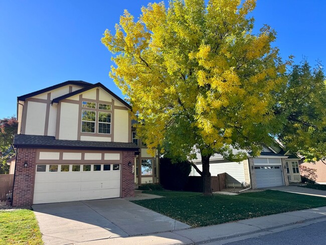 Primary Photo - Spacious, Highlands Ranch Home Featuring 4...