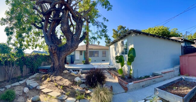 Look at house from South end of back yard - 1120 Pacific St