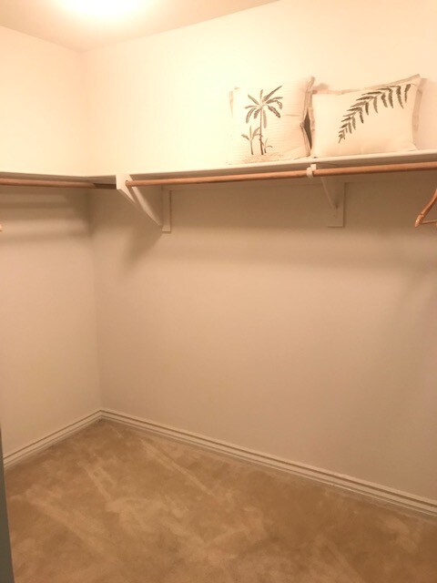 Building Photo - 8418 Lourenco Ln