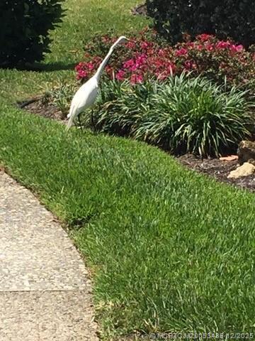 Building Photo - 513 Gunwale Ln