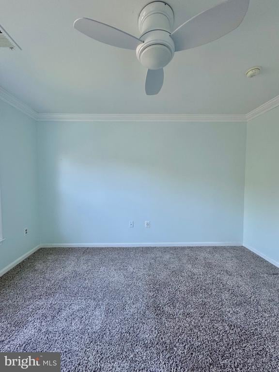 Building Photo - 12102 Snow Shoe Ct