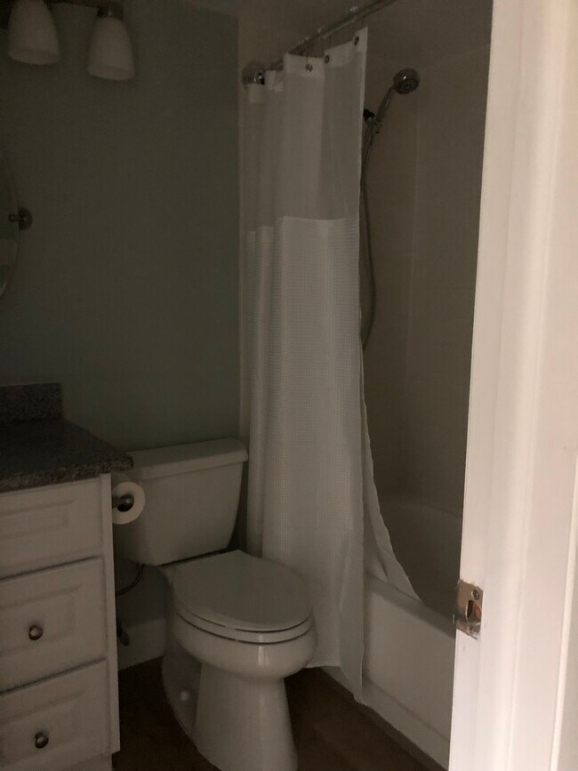 GUEST BATH - 630 Bird Bay Dr E