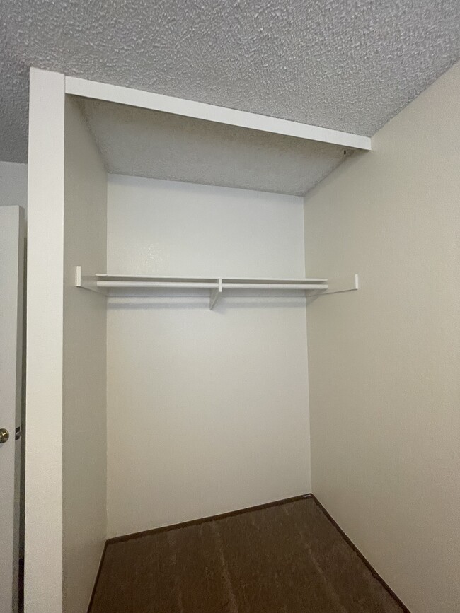 2nd Bedroom Closet - 386 Pippin Dr