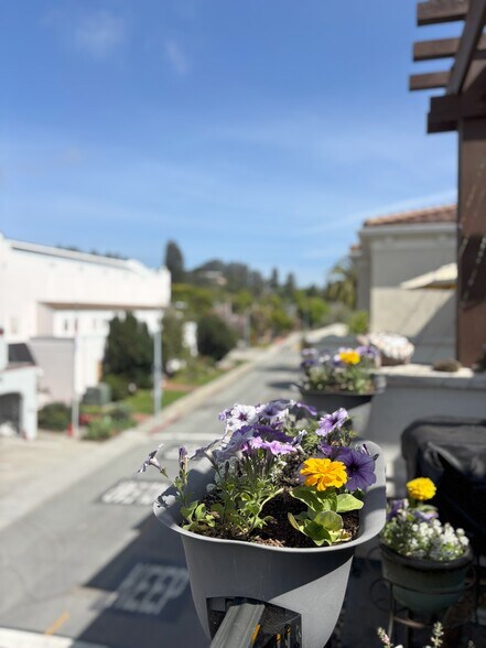 View from the balcony - 190 Walnut Ave