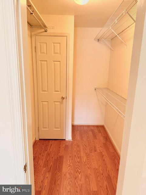 Building Photo - 10714 Kings Riding Way