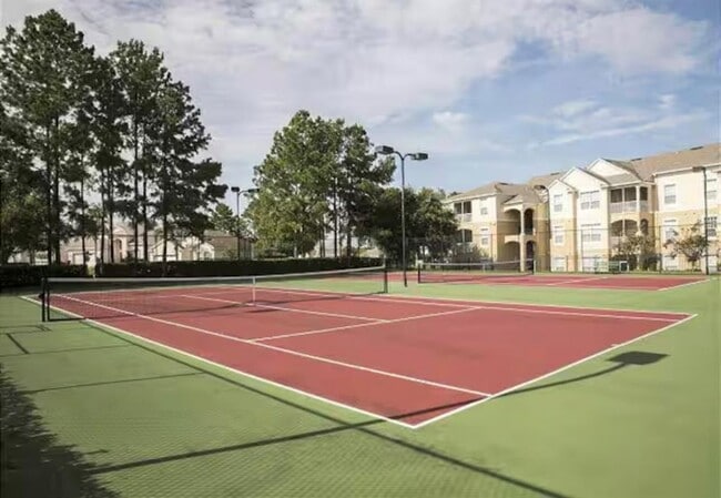 Building Photo - 8117 Princess Palm Ln