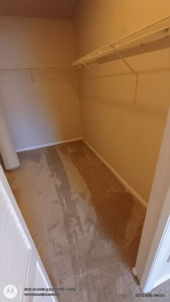 Building Photo - 13247 Whitehaven Ln