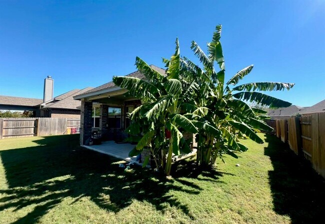 Building Photo - 2969 Diego Dr