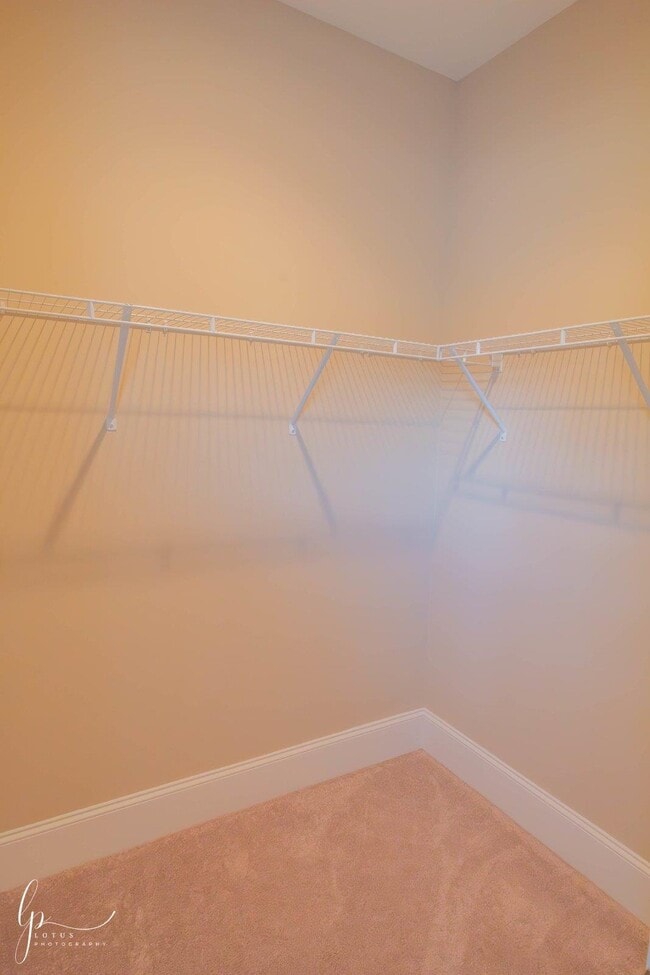 Building Photo - 1803 Wood Stork Dr