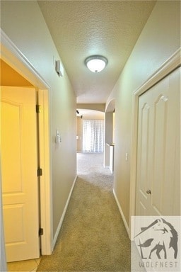 Building Photo - 3926 Serenity View Dr