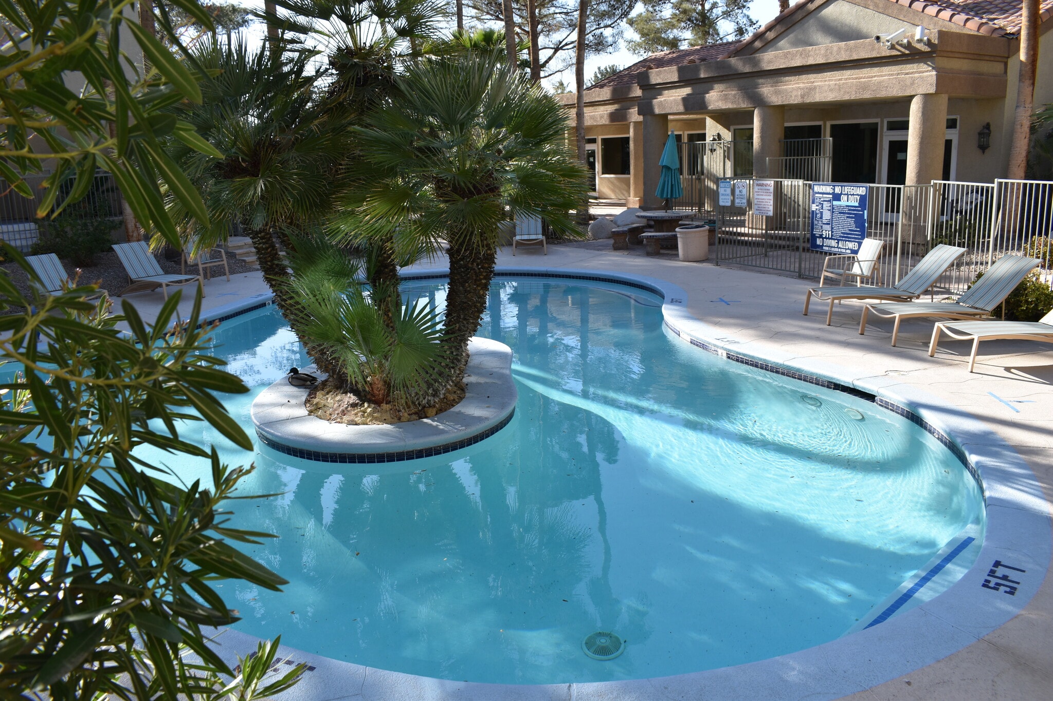 Pool - 3145 E Flamingo Rd