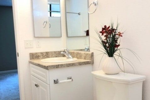 Bathrooms of Renovated Units - Summer Brook Apartments: Your Oasis of Comfort and Style