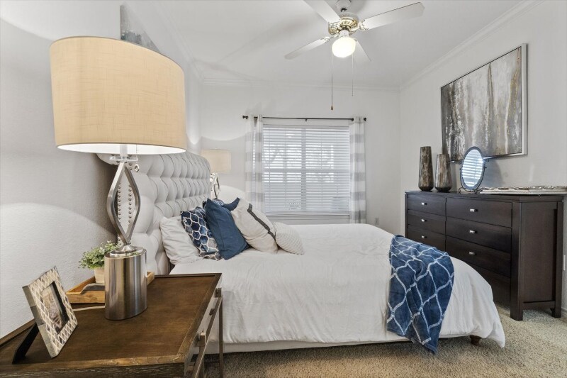 Building Photo - 18200 Blanco Springs