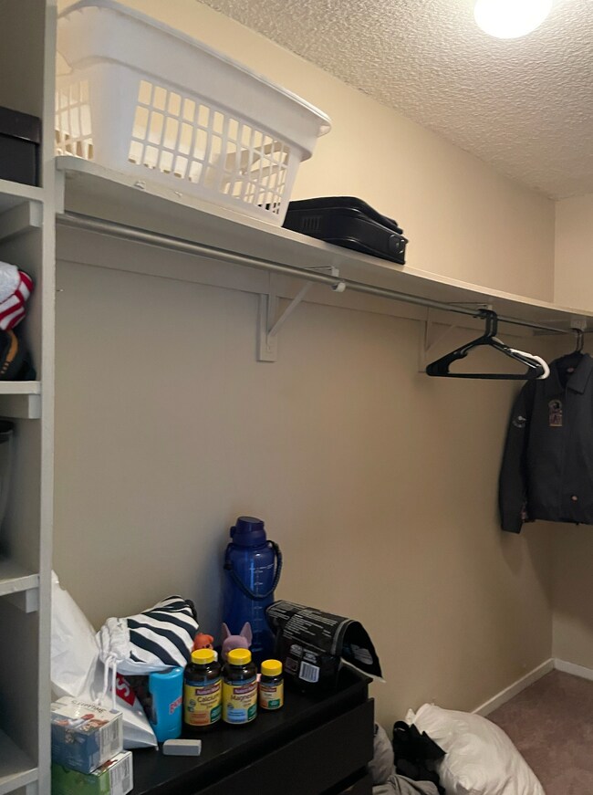 walk in closet - 801 S Plymouth Ct