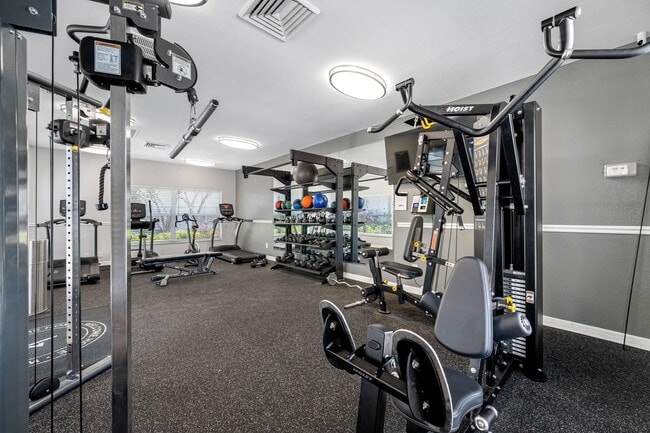 Building Photo - Newly Renovated 2 Bed-1 Bath Apartment wit...