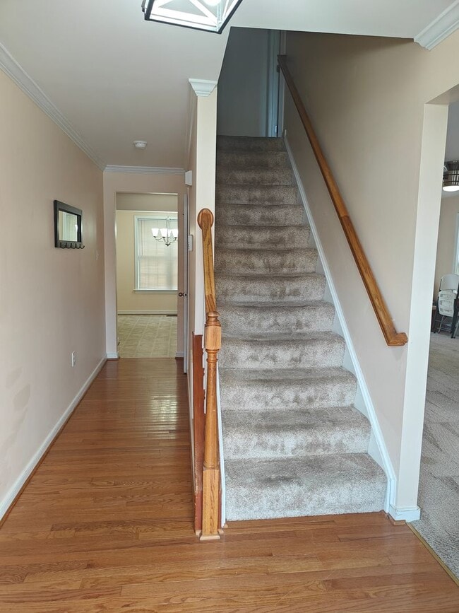 Building Photo - 5 Bedroom home in Henrico