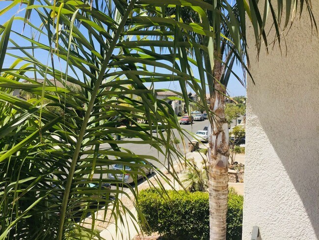 Building Photo - Mediterranean Manor, Village at the Park
