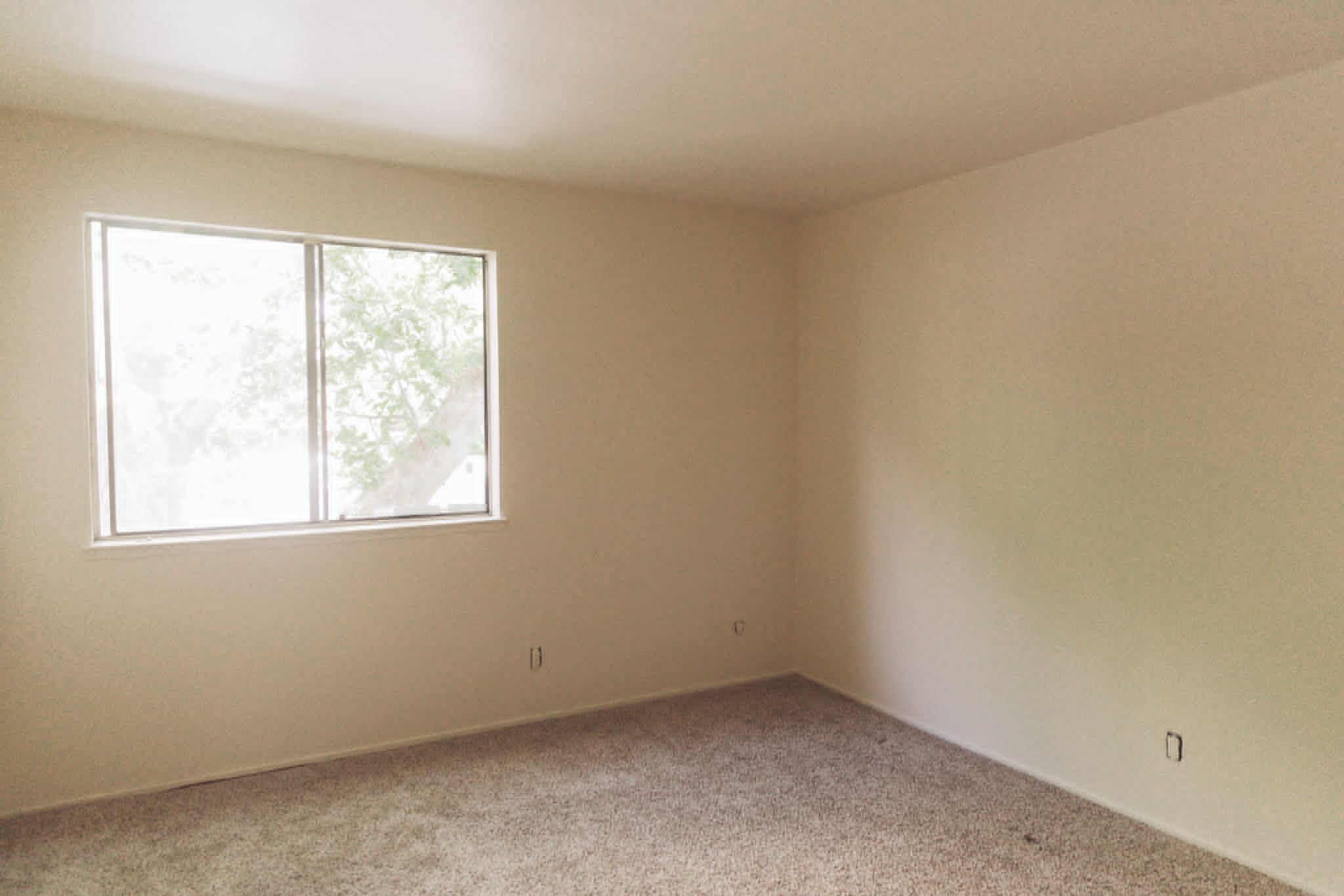 Building Photo - 1173 Honey Trl