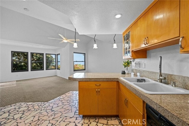 Building Photo - 1074 Calle Del Cerro