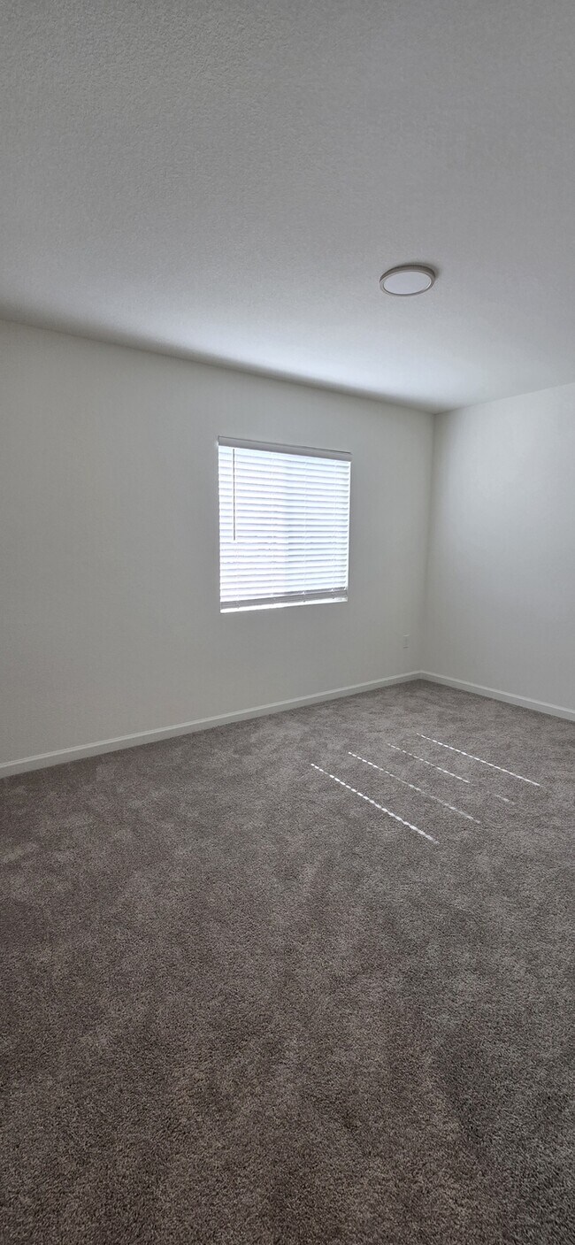 Building Photo - Brand New 4 Bed, 3 Bath Solar-Powered Sing...