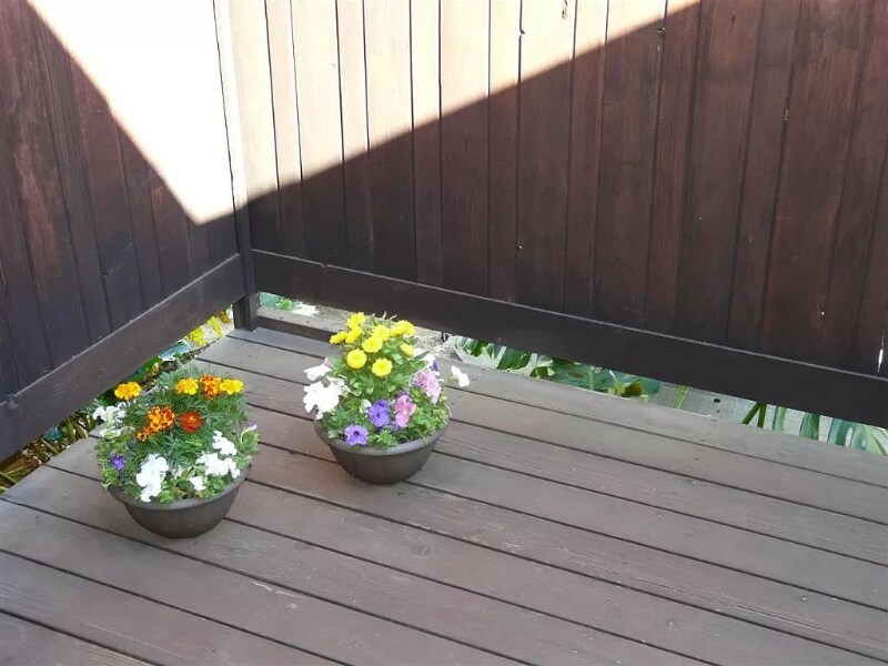 Building Photo - 2933 Carmel St