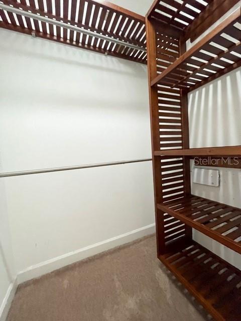 Building Photo - 20418 Carolina Cherry Ct