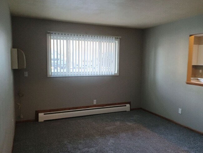Building Photo - 1 Bedroom 1 Bath in Owatonna