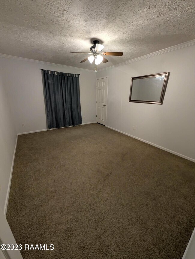 Building Photo - 206 Windcreek Ln