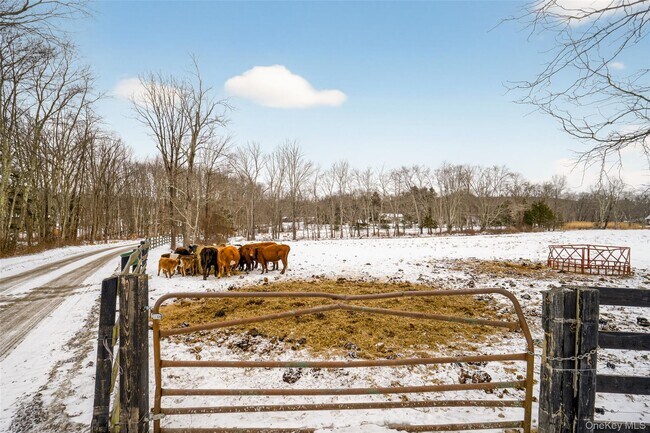 Building Photo - 408 Bull Mill Rd