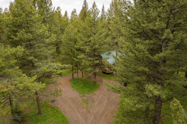 Building Photo - 3980 Bootjack Dr