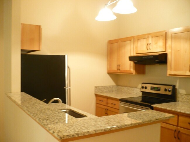 Building Photo - Spacious studio Condo near fairgrounds