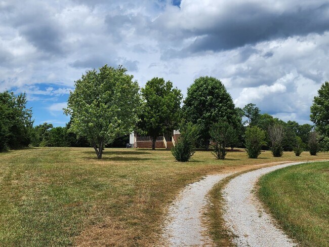 Building Photo - Stunner on Almost 10 Acres on Bear Creek