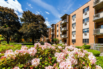 Building Photo - Morton Village
