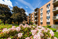 Building Photo - Morton Village