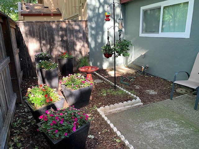 Building Photo - 2153 Bella Casa St