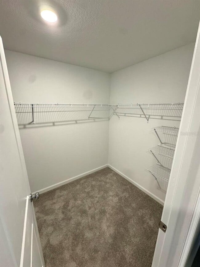 Building Photo - 2704 Pioneer Trl