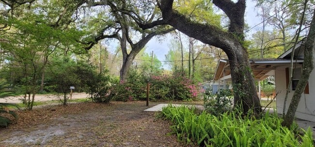 Building Photo - 1210 Carson Dr