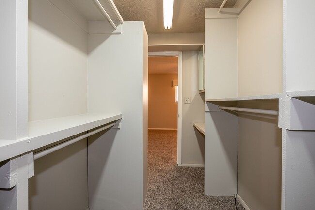 Building Photo - Renovated 1 bedroom in desirable midtown T...