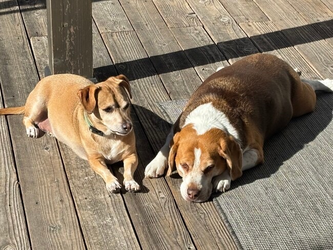 Building Photo - 425 Azores Cir