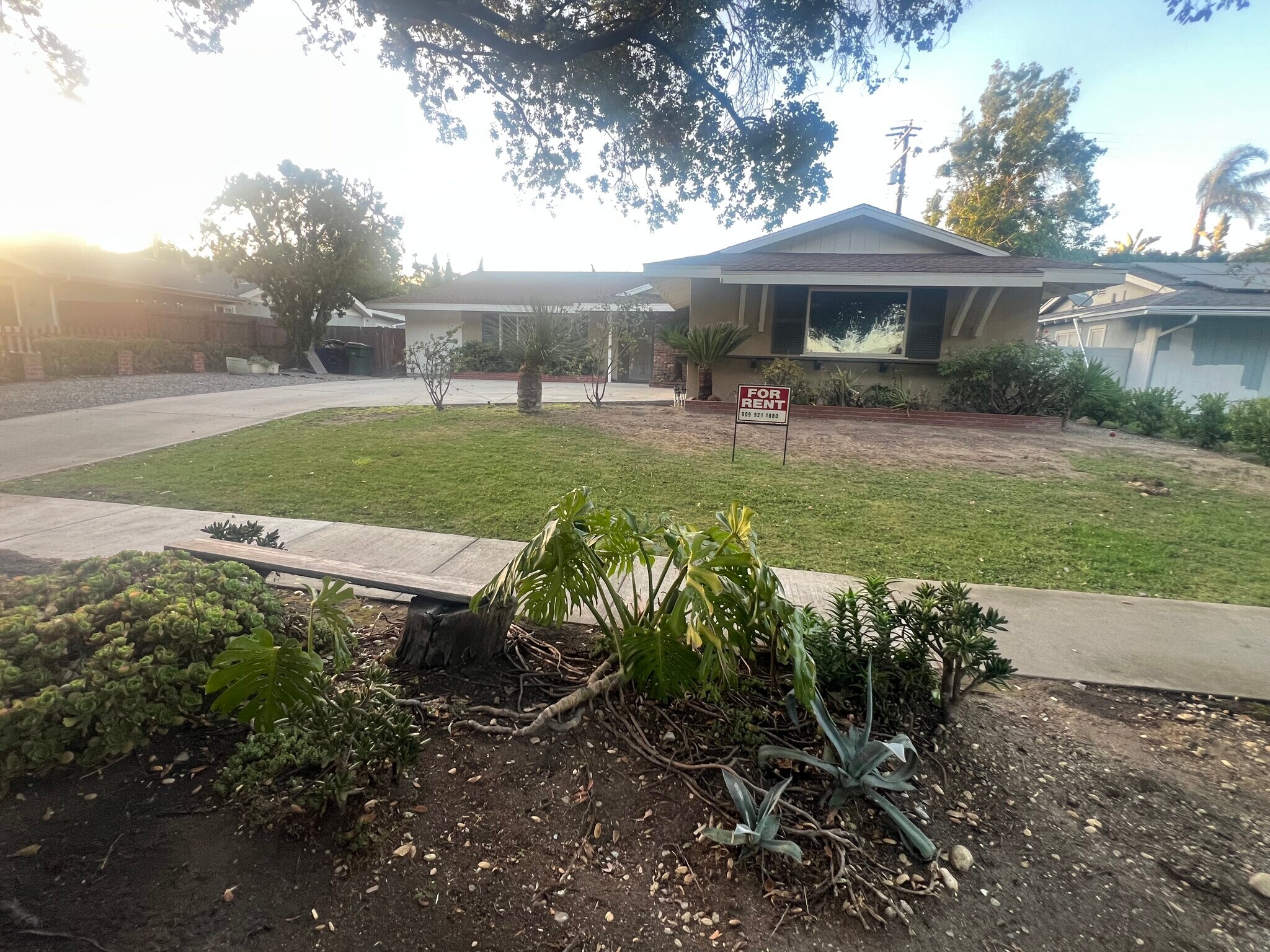 Building Photo - 1251 Coronado St