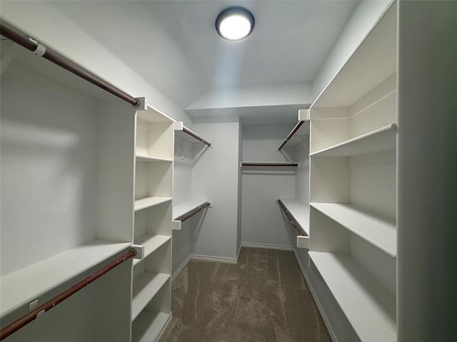 Building Photo - 12177 Salt Grass Ln