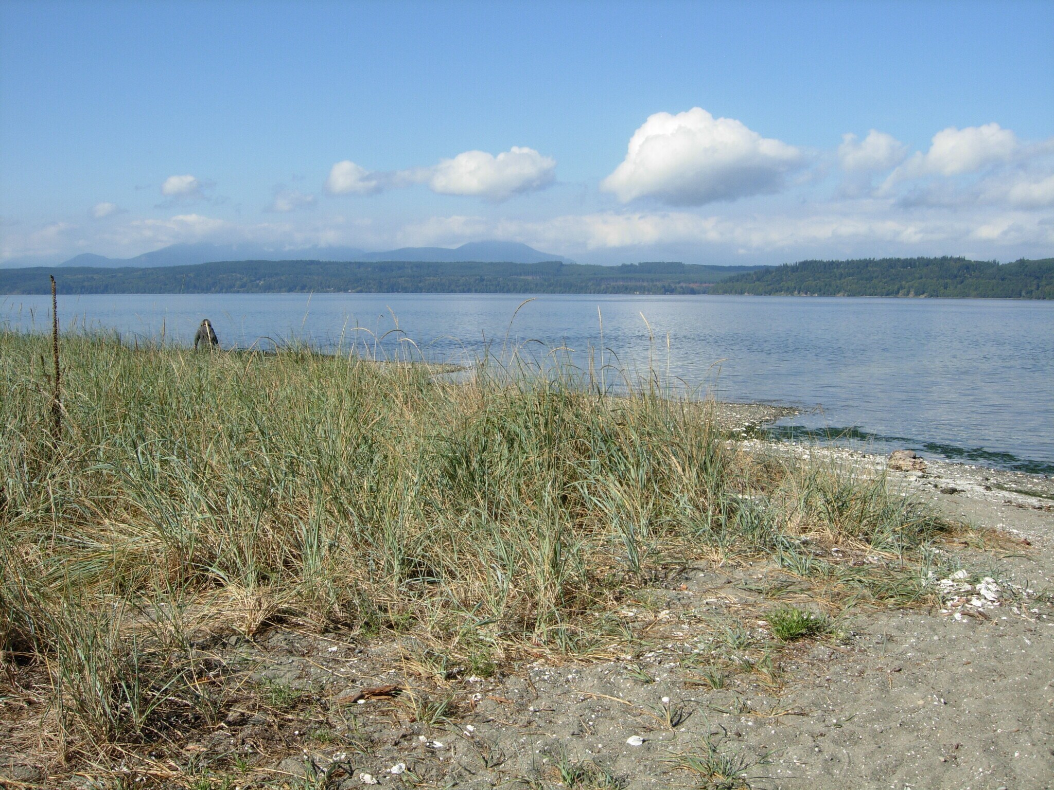 Community Beach - 2133 NW Mulholland Blvd