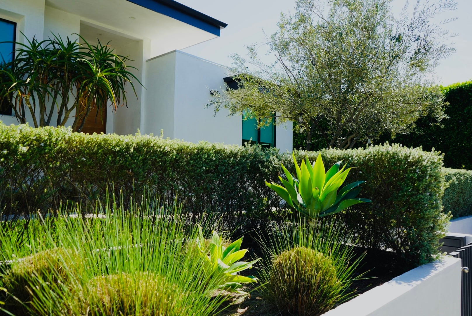 Building Photo - 738 N Sierra Bonita Ave