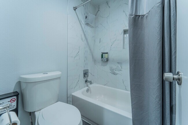 Hall Bathroom - 10014 Bridgegate Cir