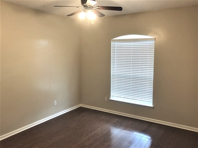 Building Photo - 2908 Piedmont Manor Dr