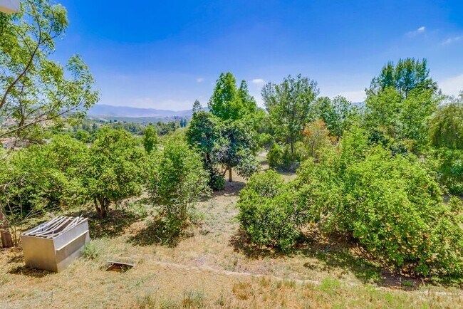 Building Photo - 3289 Altoro Ln