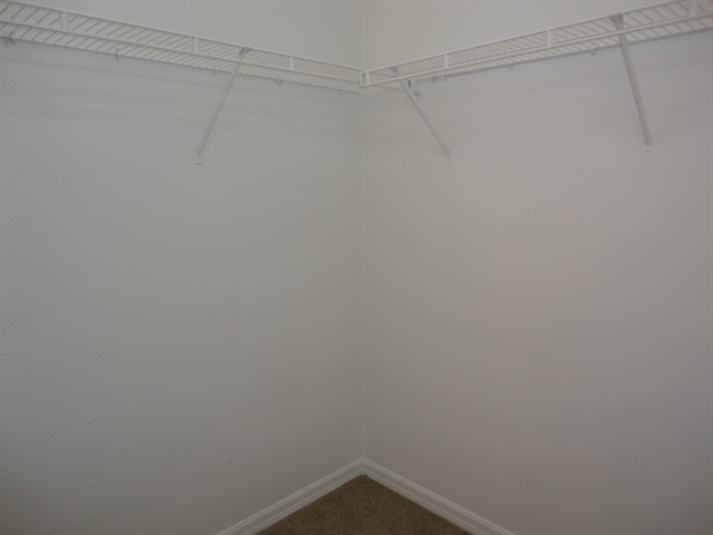 Building Photo - 13116 Carrollwood Creek Dr